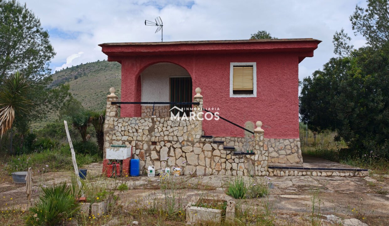 IMG20260508125904